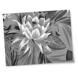8x10" Prints(No frames) - BW - Tropical Lily Plant Flower  #42175