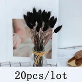 20Pcs Rabbit Tail Grass Bunny Tails Dried Flowers Lagurus Ovatus Plant Stems Dec