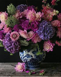 Blue and White Monday: Natasja Sadi of Cake Atelier Amsterdam ?? The Pink Pagoda Flower Delivery