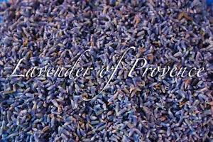 Lavender of Provence organic bulk French flower buds 1 4 8 10 16 lb  oz
