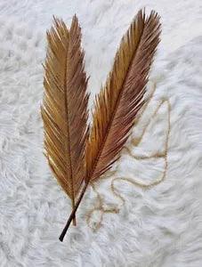 SAGO LEAVES Dried Hand Picked Pure Dried LEAVES Home Table Wall decoration cups