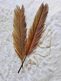 SAGO LEAVES Dried Hand Picked Pure Dried LEAVES Home Table Wall decoration cups