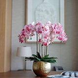 Vicky Yao Faux Floral - Classic Real Touch White /Pink Orchid Everyday Summer Arrangement in Gold Ceramic Vase