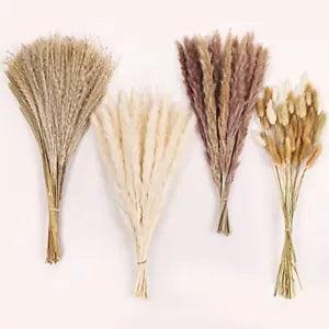 Dried Pampas Grass, 110 PCS Pampas Grass Fall Decor Dried Flowers 110PCS