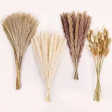 Dried Pampas Grass, 110 PCS Pampas Grass Fall Decor Dried Flowers 110PCS
