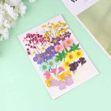 42 Pcs Sunflower Decor Dried Flowers for Nails Specimen Bookmarks