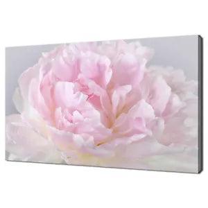 Beautiful Pink Peony Flower Modern Canvas Print Picture Wall Art 18"x12"