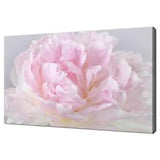 Beautiful Pink Peony Flower Modern Canvas Print Picture Wall Art 18"x12"