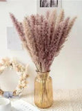 30 Stems Natural Dried Pampas Grass for Home Decor, Flower Arrangement, Boho...