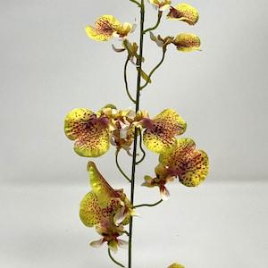 14" 1-stem GOLD Oncidium ORCHID Soft Silk plant, Stone base