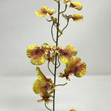 14" 1-stem GOLD Oncidium ORCHID Soft Silk plant, Stone base