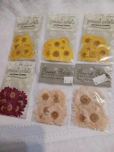 Lot of 6 packs Pressed Real Flower Petals Daisy Confetti scrapbook table USA