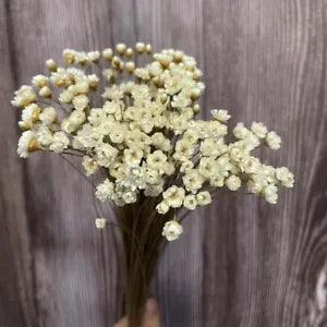 Dried Natural White Little Star Flowers - Dry Mini Daisy Bouquet Home Decoration