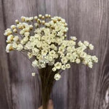Dried Natural White Little Star Flowers - Dry Mini Daisy Bouquet Home Decoration