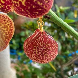 Orange Orchid Flower Earrings, Vanda Orchid Jewelry, Tropical Earrings, Resin Flower Dangle, Floral Earring, Red Spotted Orchid, Orchid Gift
