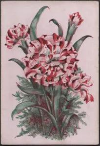 Playing Cards 1 Single Card Old Antique Wide Square Corner CARNATION FLOWERS Art
