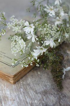 Gris-bleu, le blog art de vivre d'un artiste parisien - Part 3 Flower Delivery