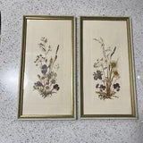 Vintage Framed Pressed Dried Flowers Wall Art Signed ???BE??? 12???X 6.5???