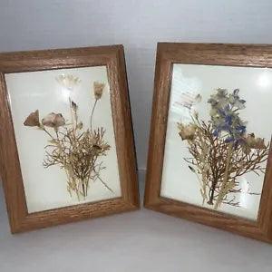 Pressed Dried Flower Arrangement Framed Wall Art Wildflowers 6x8??? Set Of 2