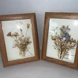 Pressed Dried Flower Arrangement Framed Wall Art Wildflowers 6x8??? Set Of 2