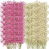 200 Pcs Baby'S Breath Dried Pressed Flowers Natural Gypsophila Branches Gypsophi