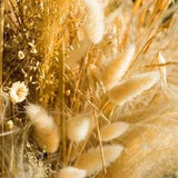 Bunny Tails Dried Flower Fluffy Pampas Grass Floral Arrangement Rustic Wedding