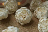 50 Peony inside Carnation 5 cm Diffuser Flowers Wholesale Bouquet Artificial