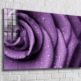 Purple Rose Tempered Glass Printing Wall Art , Natural And Vivid Wall Decor , Modern Wall Art, Extra Large Wall Art