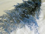 PRESERVED DYED BLUE CASPIA FLORAL FOLIAGE FILLER FLOWER