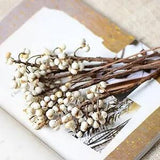 1pc Dried Flower Bunch Decor Small Beans Artificial Flowers DIY Craft...