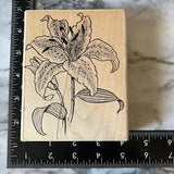 Stargazer Lily Flower Embossing Arts Wood Mounted Rubber Stamp Flower Large
