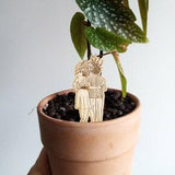 Plant jewel LOVERS