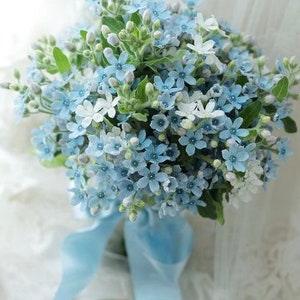 100 seeds Forget-Me-Not Myosotis Sylvatica Mystic Blue