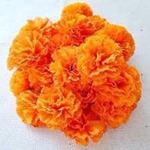 Tangerine Orange Marigold SEEDS Cut Flowers Bouquet attracts Pollinators Companion plant Dizzy Bees Urban Garden combined shipping