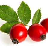 Wild Rosehip seeds with Giant Berries - Wild Rosehip seeds with Giant Berries