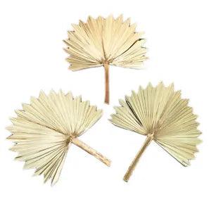 Natural Dried Flower Palm Leaves Fan Bouquet DIY Wedding Party Home Floral Decor