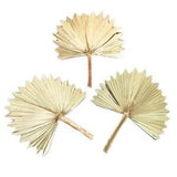 Natural Dried Flower Palm Leaves Fan Bouquet DIY Wedding Party Home Floral Decor