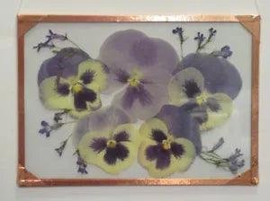 PRESERVED/PRESSED FLOWER ART IN FLOATING FRAME--HOME DECORATION MADE IN CANADA