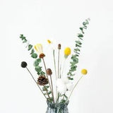 Natural Dried Flowers Dried Eucalyptus Leaf Real Branch Acorn Pine Wheat Wedding