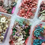 Real Dried Flower Box Enhance Your Crafts and Aromatherapy with Beautiful