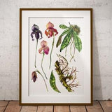 Orchid painting, plant painting, cottage painting, printable art, bathroom wall decor, printable wall art, wall art, watercolor painting