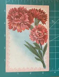 Antique 1909 Red Carnations Flowers Postcard