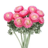 Artificial Ranunculus Flowers, 10 Stems Faux Permanent Flower Floral, Dark Pink