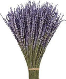 June Fox Dried Lavender Flowers 270-300 Stems 100% Natural Dried Lavender Bunche