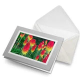 Greetings Card (Grey) - Red Hot Pokers Lily Flower Plant Garden  #24095