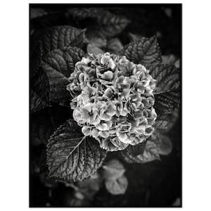 A Flower of Sorts