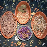 Mixed Assorted LOT Real Natural Dried Pressed Flowers for Resin Craft Decor USA