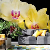 Yellow orchid photo wallpaper, self adhesive, removable, temporary peel and stick, floral wall mural