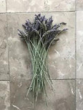 12in Long Stem Organic USA Air Dried California Lavender Flower Bunches