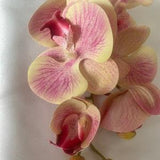 Artificial Orchid Flowers, Make your own Plant, Christmas Gift, Real Look Orchids, Pink & Yellow Orchid, Phalaenopsis, Faux Orchid Stems